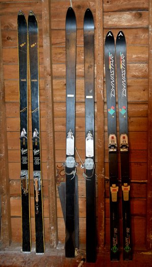 Housse Ski Dynastar Intense Basic Ski Bag 160 cm