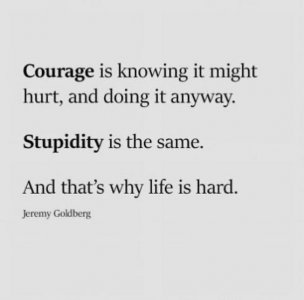 Courage is... Stupidity is....jpg