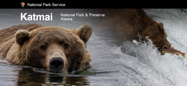 Katmai-National-Park-Alaska-Bears-SkiTalk.jpg