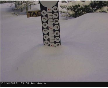 taos web cam 2022-11-14 - Snow stick.JPG