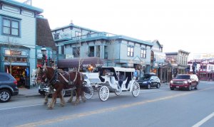 breck horse carriage.jpeg