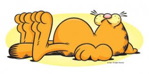 Garfield 01.jpg