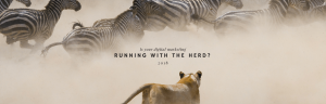 RunningWithTheHerd-1200x385.png