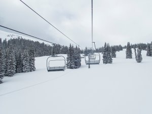 Colorado Skiing 041319 017 DC ACR Conv.jpg