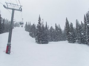 Colorado Skiing 041319 118 DC ACR Conv.jpg
