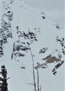 snowbird pipeline skied.jpg