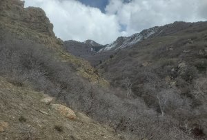 hueghs canyon hike 21 mar 2020.jpg