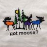 mister moose
