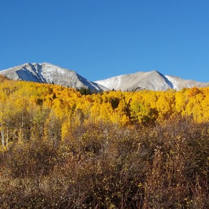Mt. Sopris Surrounded By Aspens