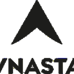 Dynastar_Logo_OriginalVersion Top